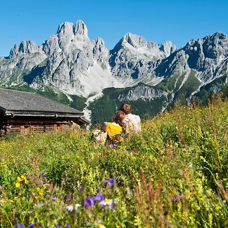 施泰因酒店 费尔兹姆斯