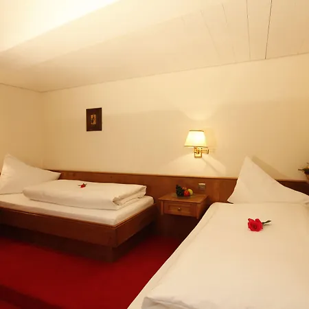 酒店 施泰因酒店 费尔兹姆斯