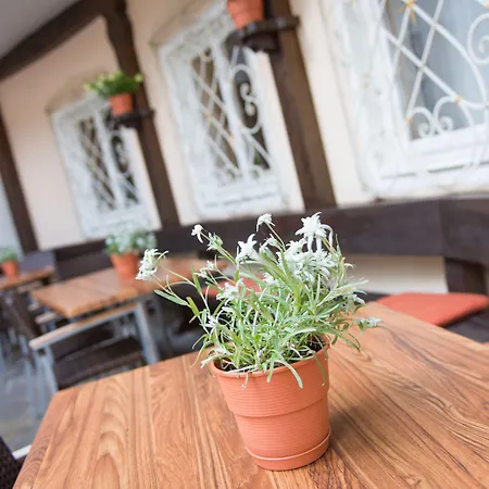 Hotell Dachstein Filzmoos