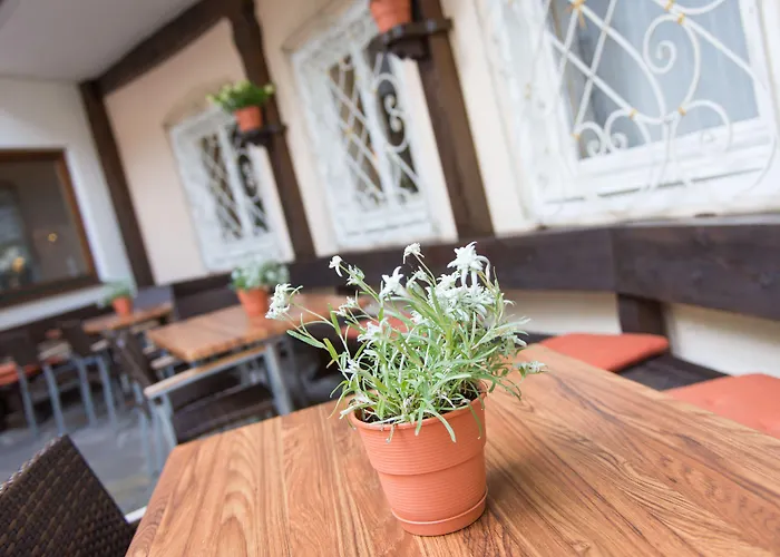 Hotel Dachstein Filzmoos